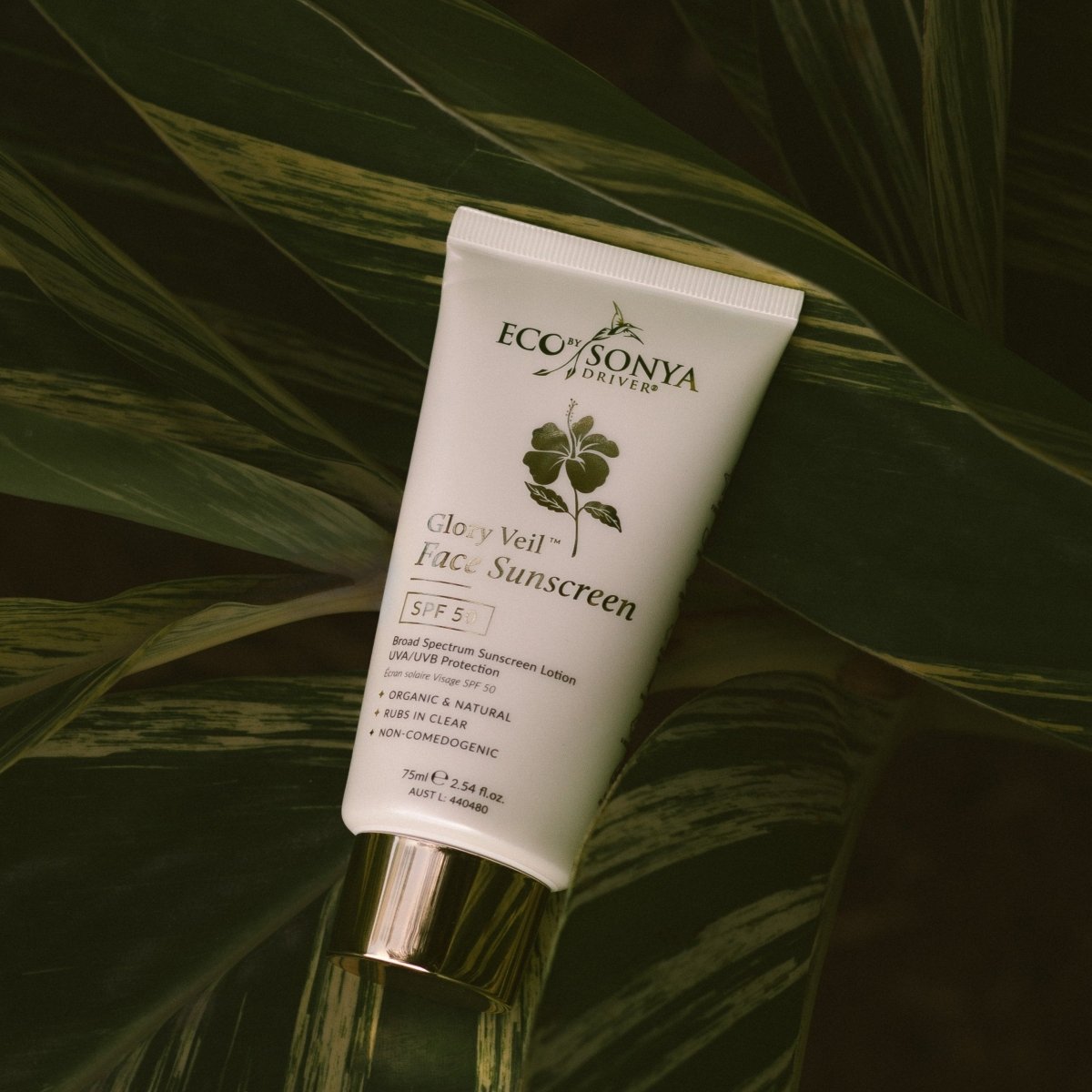 Glory Veil Face Sunscreen SPF 50 - Eco By Sonya organic zinc suncare